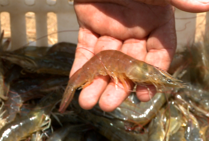 Prefeito cearense inova na gestão e incentiva geração de emprego e renda